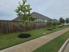 Local residential landscaping for outdoor upgrades in Spring, TX by Allegiance Lawn Care