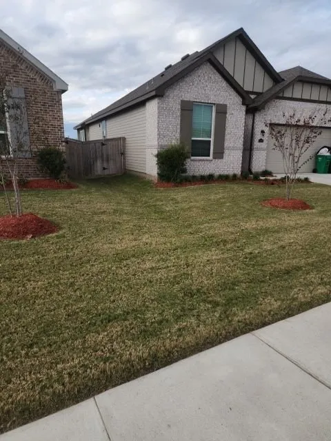 Local yard cleanup service in Spring, TX - Allegiance Lawn Care