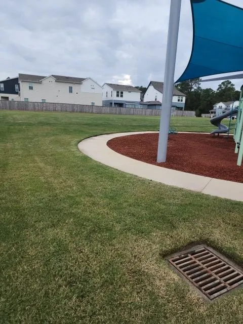 Custom yard cleanup service for homes in Spring, TX by Allegiance Lawn Care