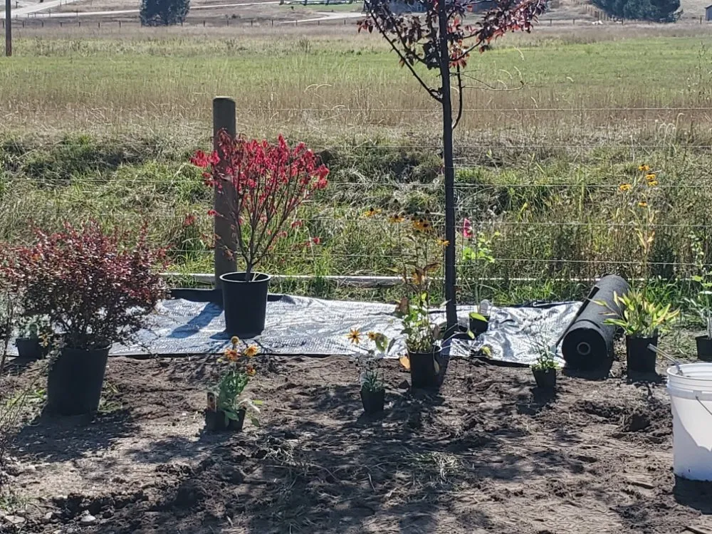 Trusted landscape design for outdoor upgrades across Stevensville, MT - Allegiant Irrigation & Landscape