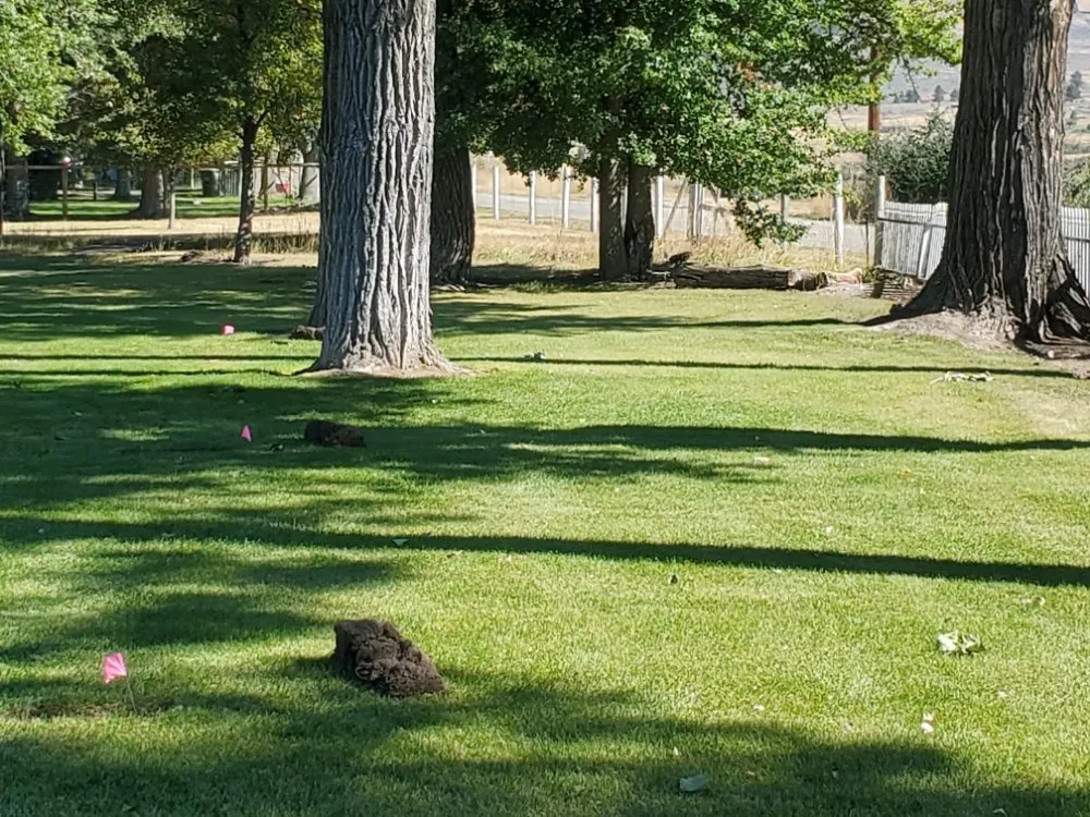 Top-rated residential landscaping for homes across Stevensville, MT - Allegiant Irrigation & Landscape