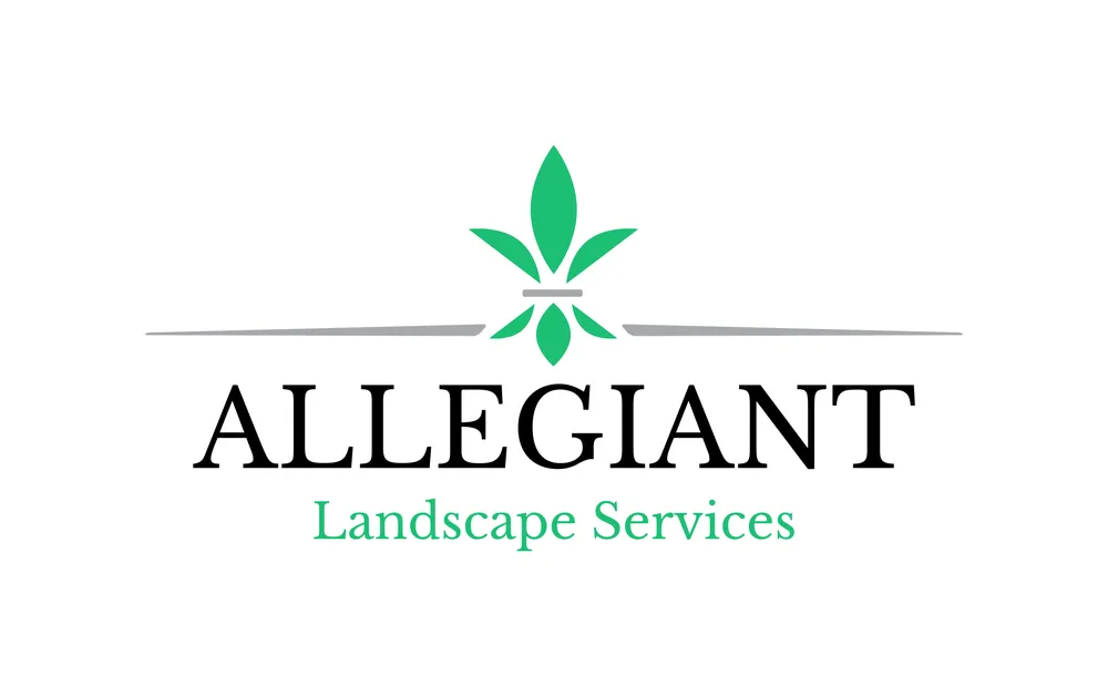 Expert landscaping services in Buckeye, AZ by Allegiant Landscape Services