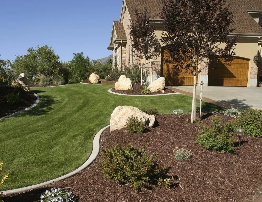 Top-rated lawn care service experts serving Loomis, CA - Allegiant