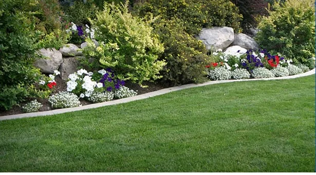 Affordable yard maintenance with custom design across Loomis, CA - Allegiant