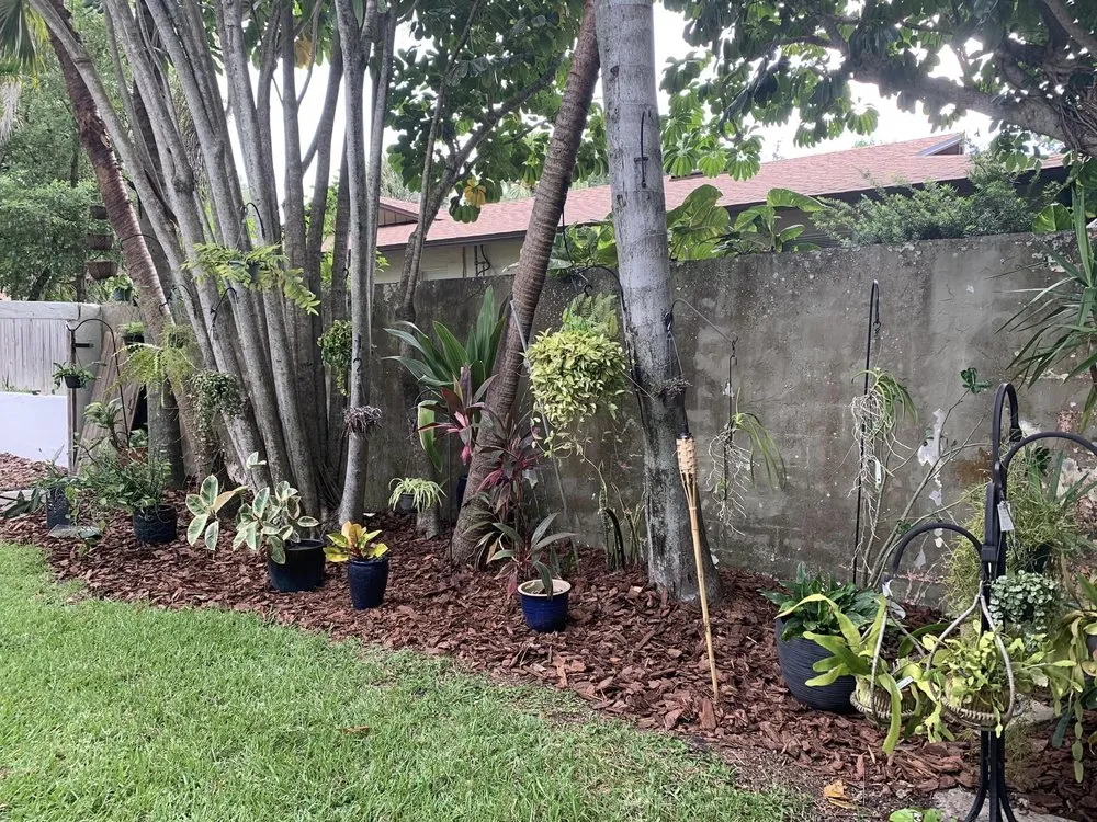 Professional landscape design in Miami, FL by Allegrow Landscape Services