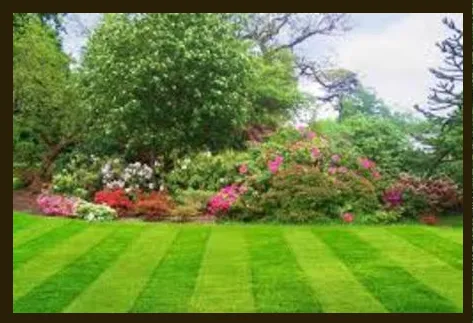Trusted residential landscaping experts serving Bowie, MD - Allen & Son Yard Service