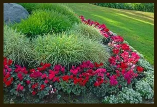 Local lawn care service in Bowie, MD by Allen & Son Yard Service