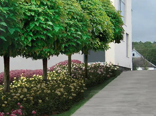 Custom lawn mowing service in Bowie, MD by Allen & Son Yard Service