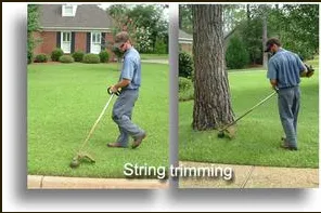 Trusted residential landscaping in Bowie, MD by Allen & Son Yard Service