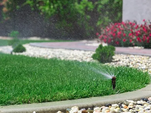 Affordable lawn mowing service in Bowie, MD - Allen & Son Yard Service