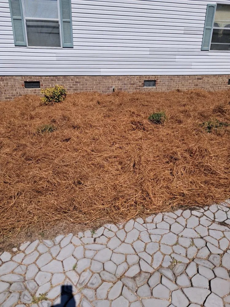 Local lawn care service with custom design across Benson, NC - Allen & Sons Lawn Care - Powerwashing