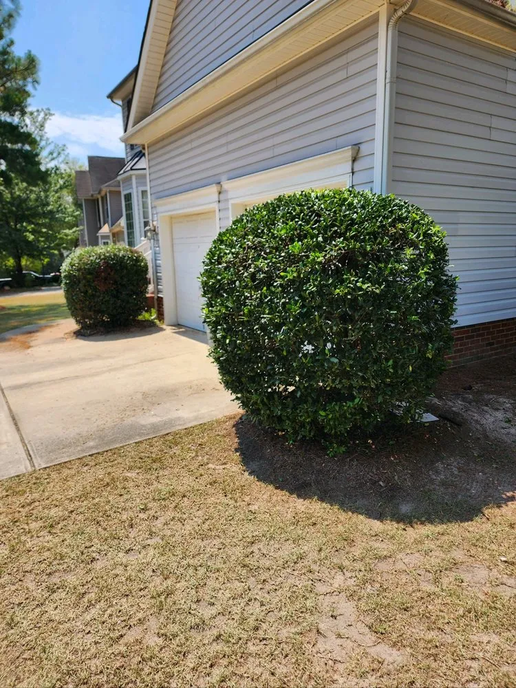 Expert landscape installation experts serving Blythewood, SC - Allen Boyz Lawn Care