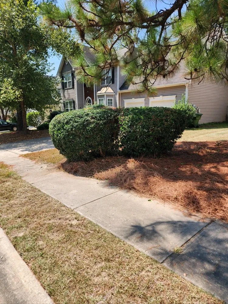 Affordable garden landscaping with custom design across Blythewood, SC - Allen Boyz Lawn Care