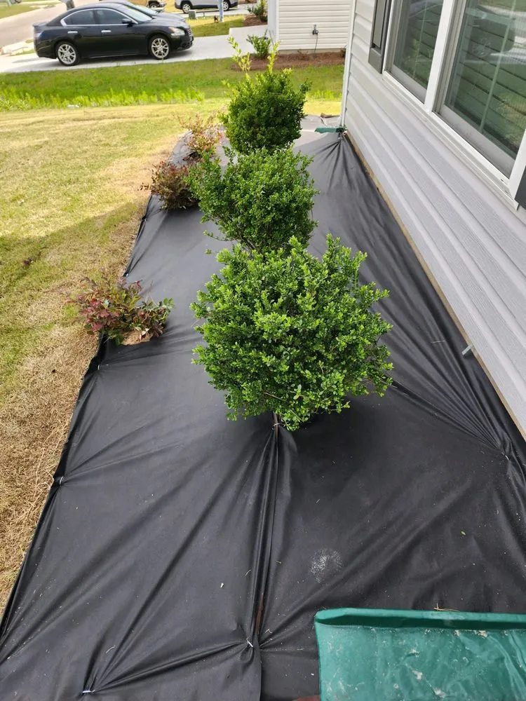 Top-rated landscaping services near you across Blythewood, SC - Allen Boyz Lawn Care