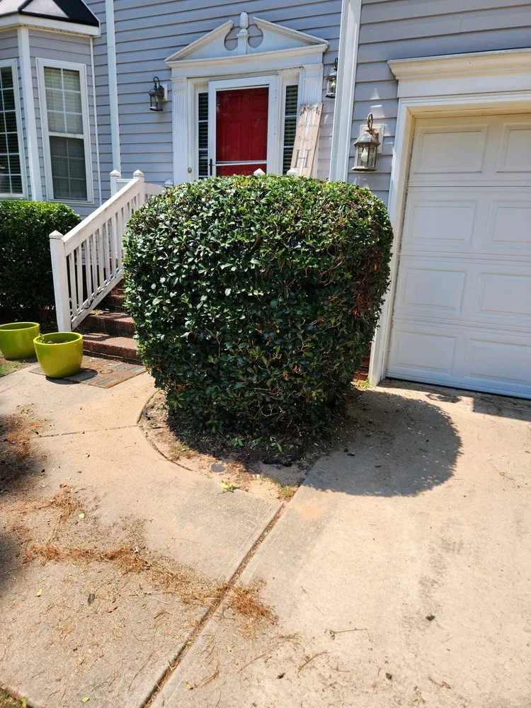 Top-rated landscape design for residential properties across Blythewood, SC - Allen Boyz Lawn Care