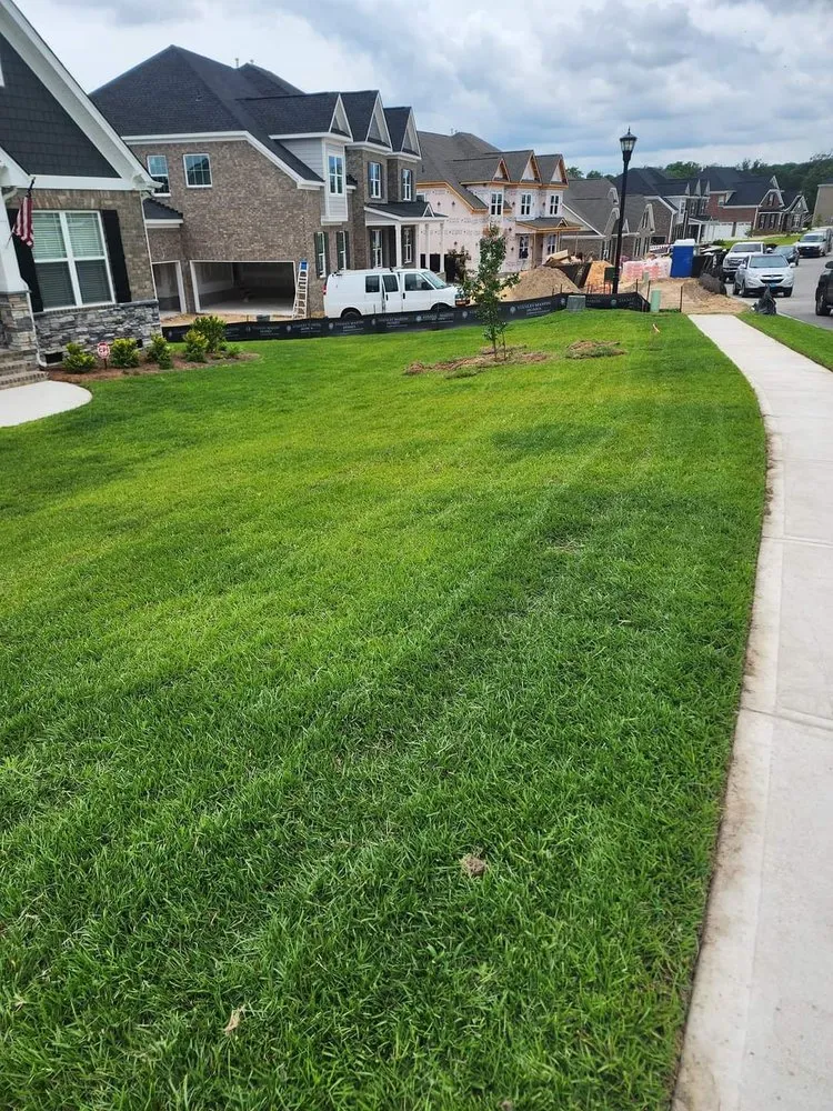 Expert landscaping services for homes in Blythewood, SC by Allen Boyz Lawn Care