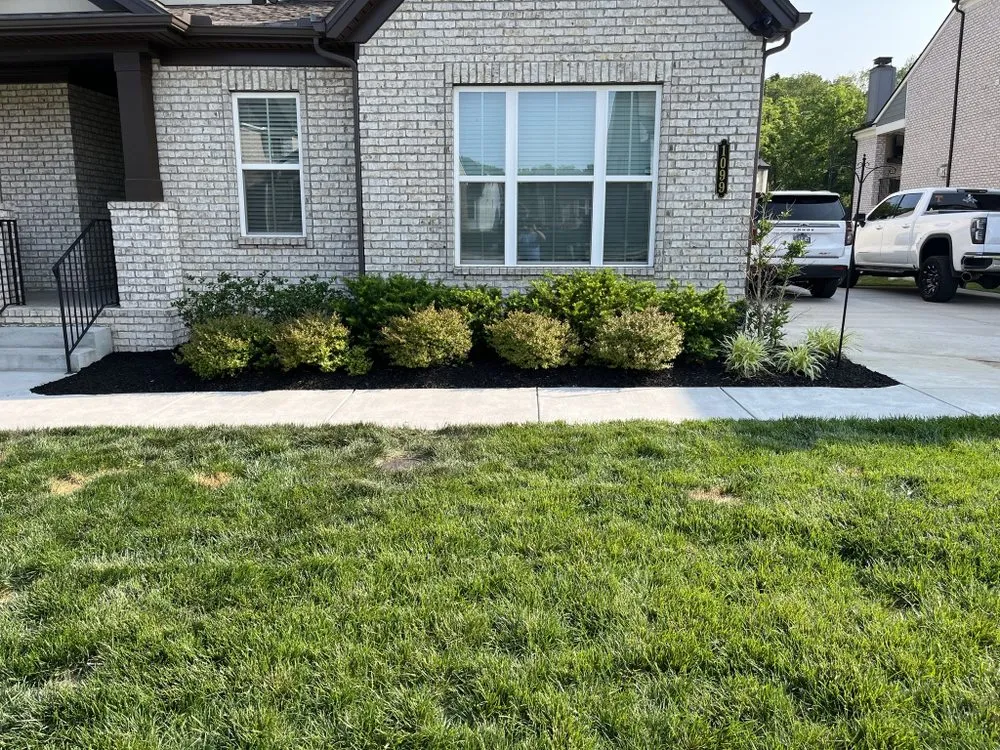 Local outdoor landscaping experts serving Lebanon, TN - Allen Clean Cuts