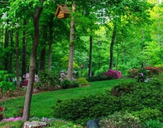 Top-rated landscaping services in East Hampton, NY by Allen-Eve Landscaping