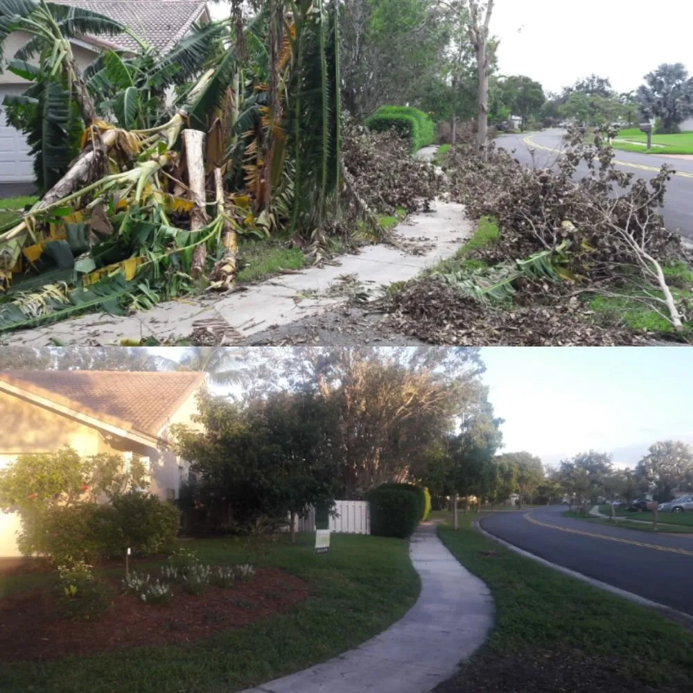 Affordable landscape design in North Lauderdale, FL by Allen Fossi Gardener