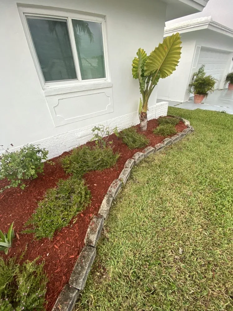 Local landscape installation in North Lauderdale, FL by Allen Fossi Gardener
