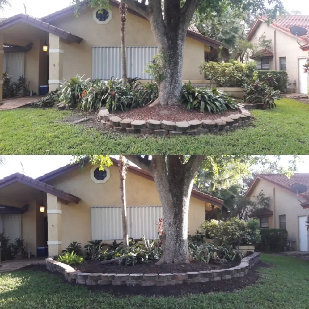 Local yard maintenance near you across North Lauderdale, FL - Allen Fossi Gardener