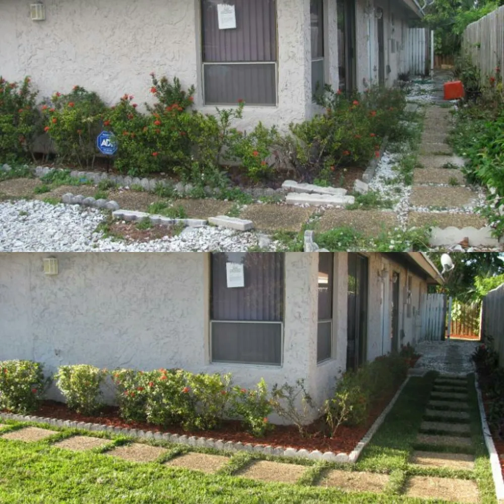 Local landscape installation in North Lauderdale, FL by Allen Fossi Gardener
