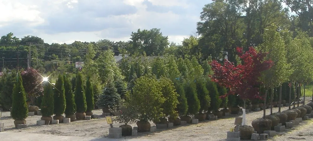 Expert yard maintenance for beautiful yards in Schererville, IN by Allen Landscape Centre