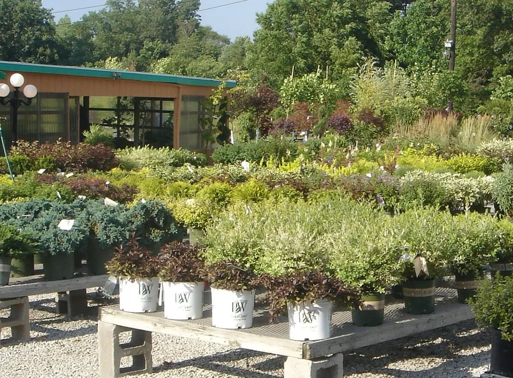 Trusted landscape design in Schererville, IN - Allen Landscape Centre