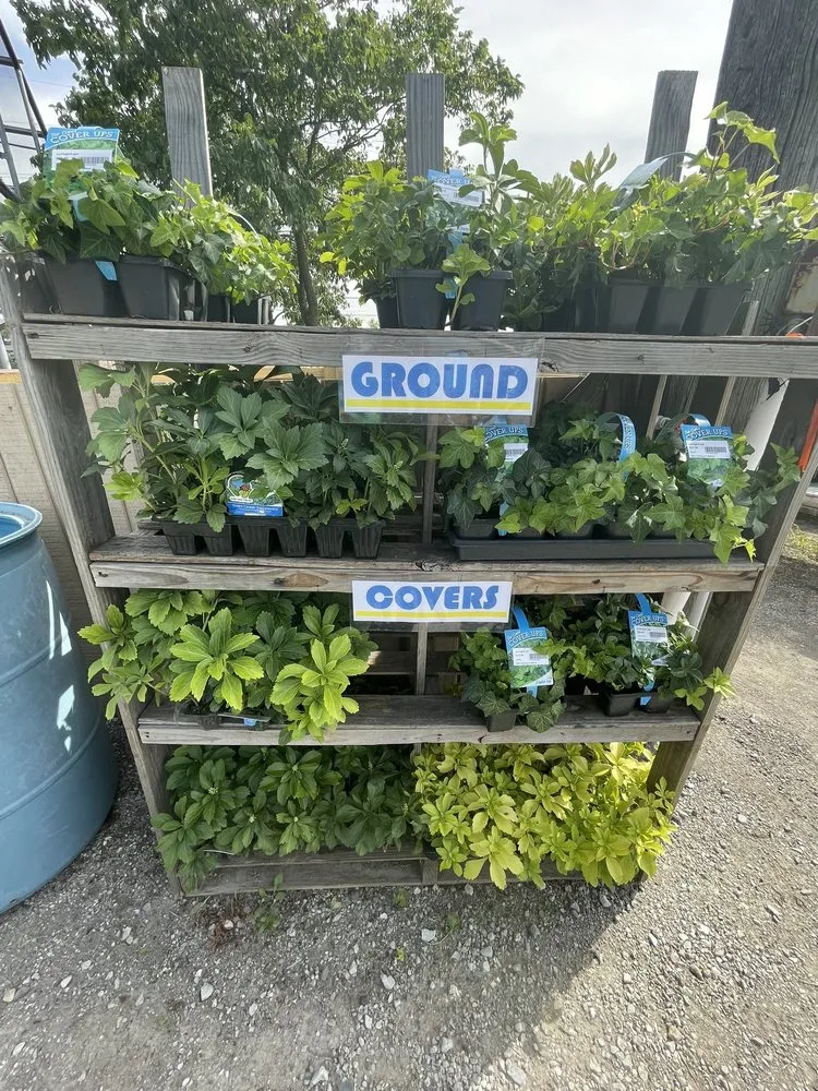 Reliable yard cleanup service experts serving Highland, IN - Allen Landscape in Highland