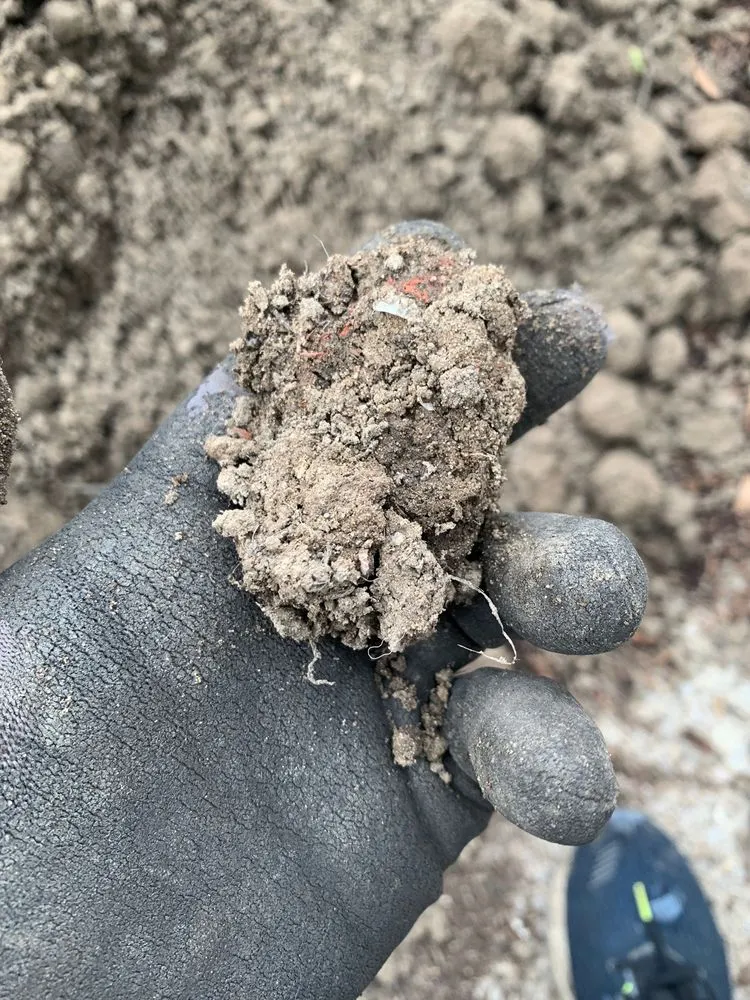 Professional lawn care service for year-round maintenance in Highland, IN by Allen Landscape in Highland