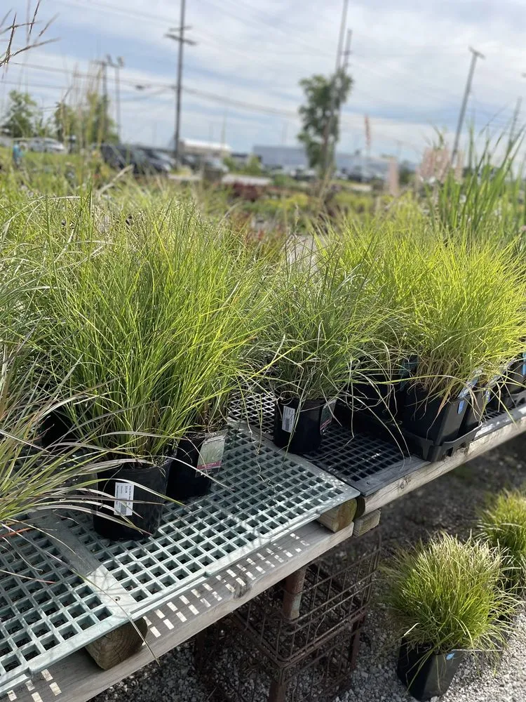 Reliable landscape design near you across Highland, IN - Allen Landscape in Highland