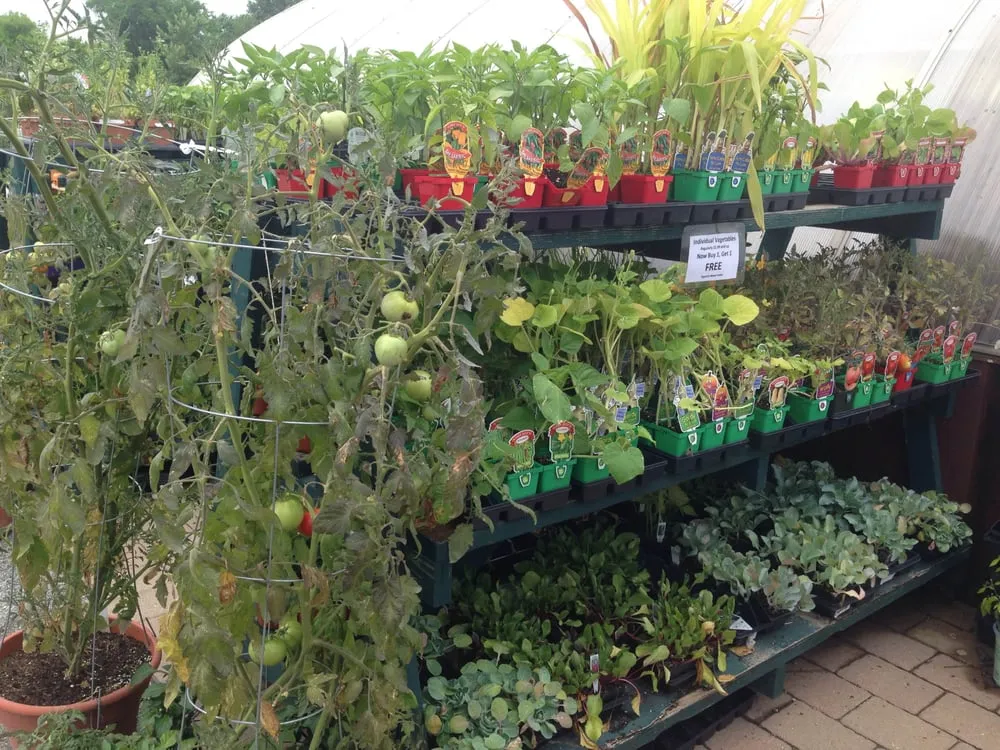 Custom yard maintenance for beautiful yards in Highland, IN by Allen Landscape in Highland