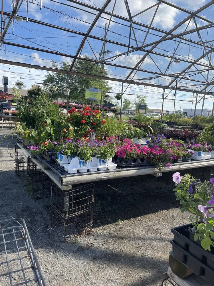 Trusted yard cleanup service for year-round maintenance across Highland, IN - Allen Landscape in Highland