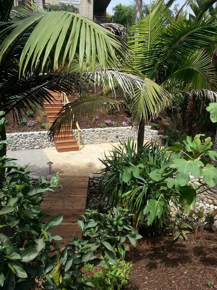 Expert landscape design for beautiful yards across Oceanside, CA - Allen Landscape
