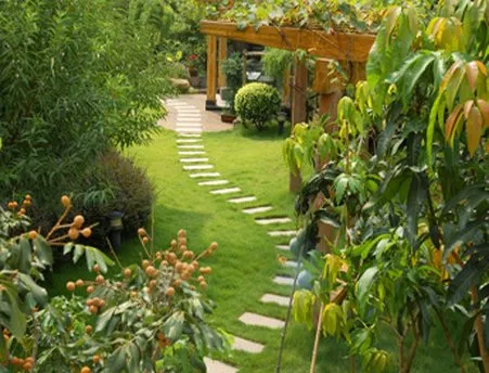 Local lawn care service for residential properties across Allen, TX - Allen Landscaping Works