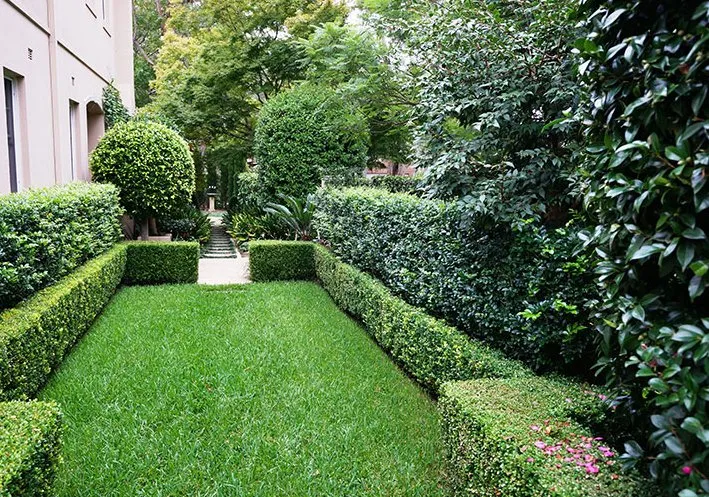 Local landscaping services in Allen, TX by Allen Landscaping Works