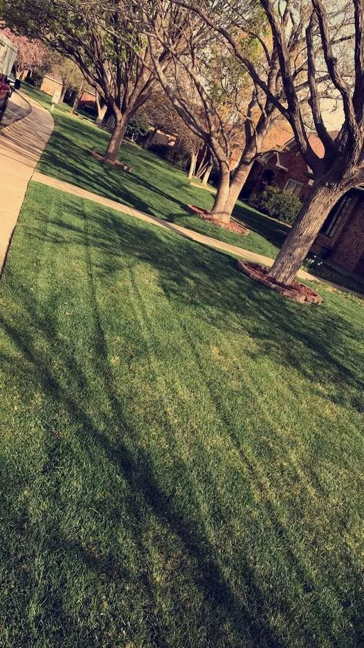 Professional lawn care service in Amarillo, TX - Allen Lawn Care
