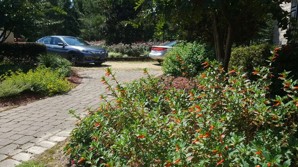 Affordable lawn care service near you in Summit, MS by Allen Lawn Care Services