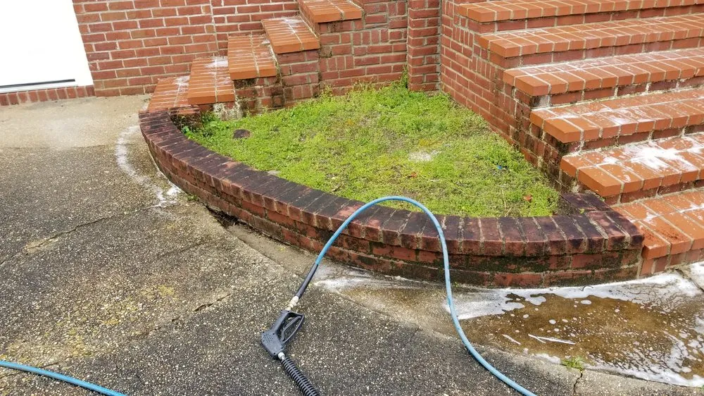 Professional lawn care service experts serving Summit, MS - Allen Lawn Care Services