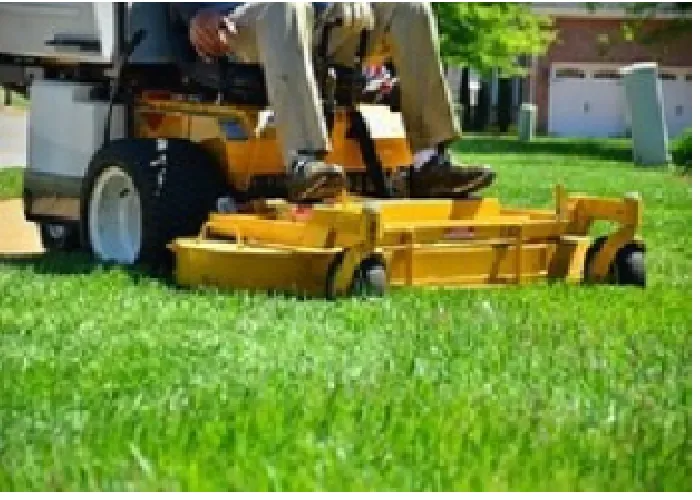 Trusted outdoor landscaping near you in Allen, TX by Allen Lawn Mowing