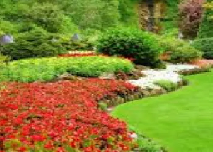 Reliable outdoor landscaping experts serving Allen, TX - Allen Lawn Mowing