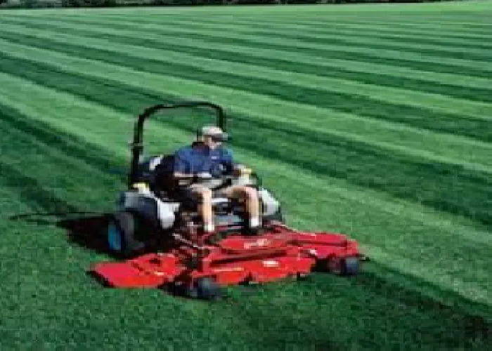 Reliable yard maintenance near you across Allen, TX - Allen Lawn Mowing