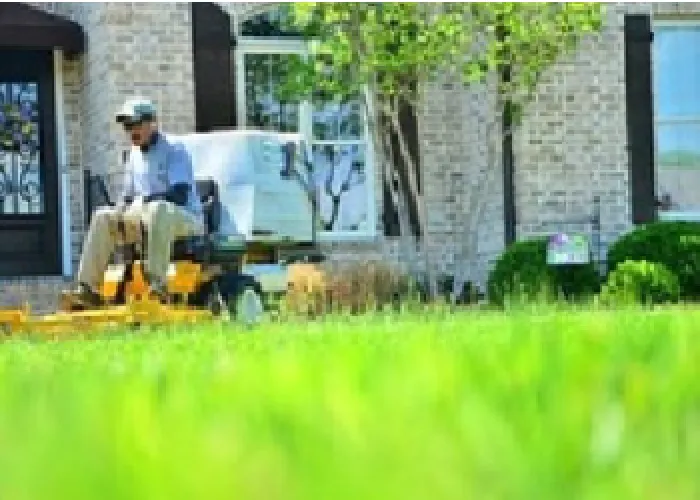 Expert landscape design for beautiful yards across Allen, TX - Allen Lawn Mowing