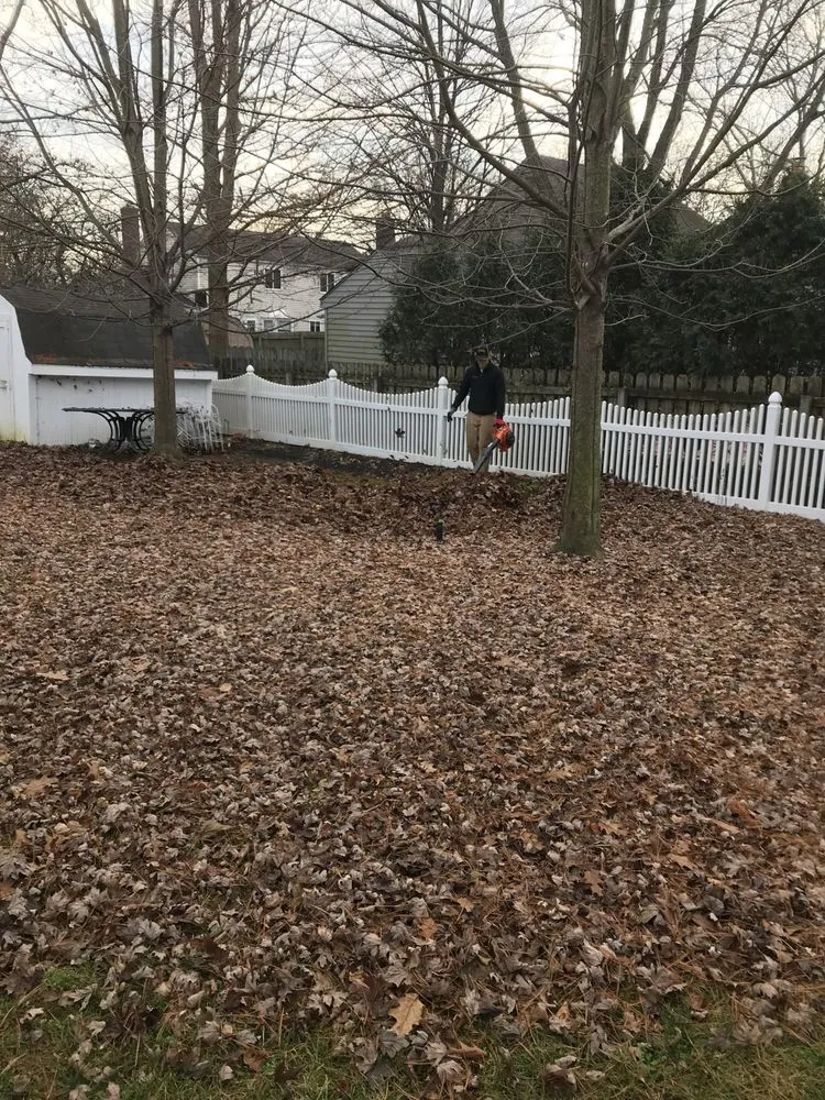 Local yard cleanup service for outdoor upgrades across Westerville, OH - Allen Lawn Service