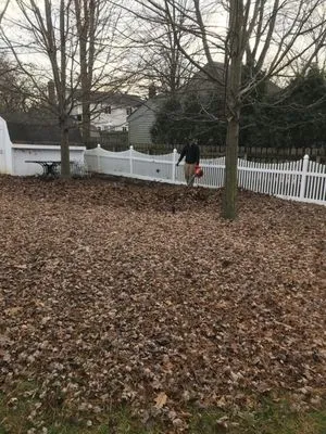 Allen Lawn Service Logo