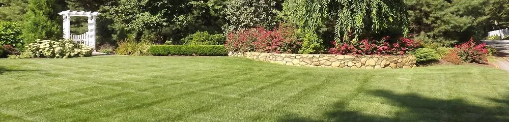 Professional yard cleanup service in St. Louis, MO - Allen Outdoor Solutions