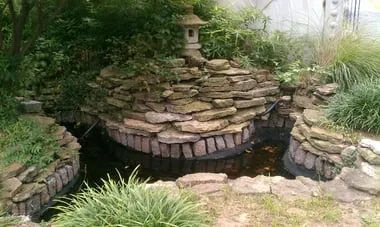 Local yard maintenance near you in St. Louis, MO by Allen Outdoor Solutions