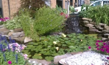 Expert lawn care service near you across St. Louis, MO - Allen Outdoor Solutions