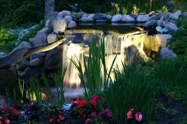 Reliable yard maintenance for beautiful yards in St. Louis, MO by Allen Outdoor Solutions