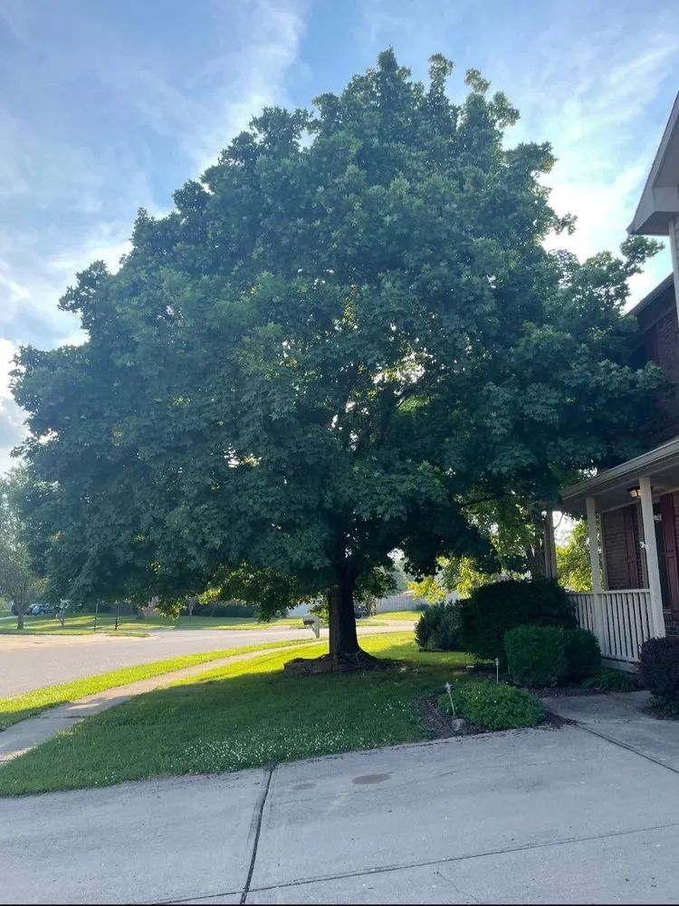Local landscape installation near you across Stockwell, IN - Allen Services